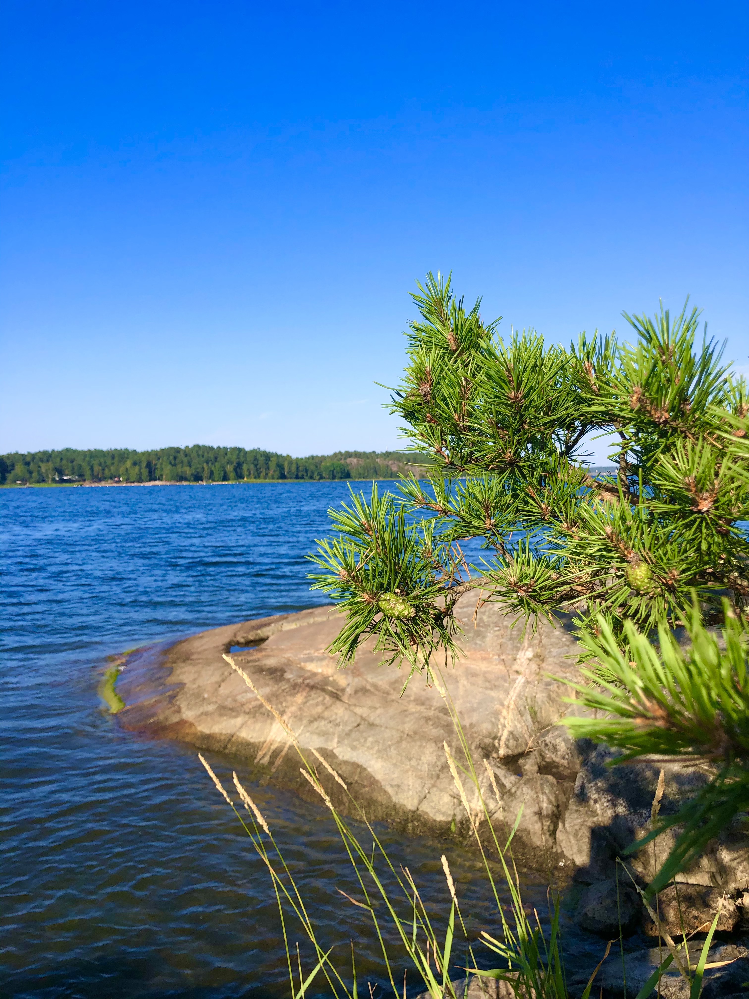 Bogesund Nature Reserve Sweden